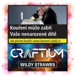 Craftium Wildy Strawbs 40 g – Zbozi.Blesk.cz