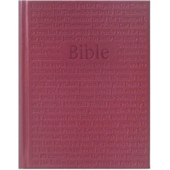 Kniha Bible