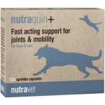 Nutravet Nutraquin+ 120 kapslí – Hledejceny.cz