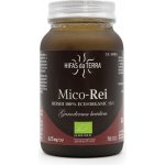 Hifas da Terra Mico-Rei 70 kapslí Bio – Hledejceny.cz