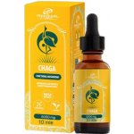 Extrakt z houby Chaga 10 ml – Hledejceny.cz
