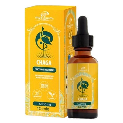 Extrakt z houby Chaga 10 ml – Hledejceny.cz