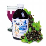 Orling Geladrink Forte Hyal biosol černý rybíz 500 ml – Hledejceny.cz