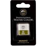 Akvarel v půlpánvičce Mungyo 842 Olive brown – Hledejceny.cz