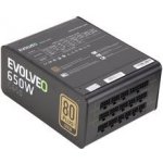 Evolveo G650 650W E-G650R – Hledejceny.cz