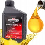 Briggs & Stratton SAE 30 600 ml – Sleviste.cz