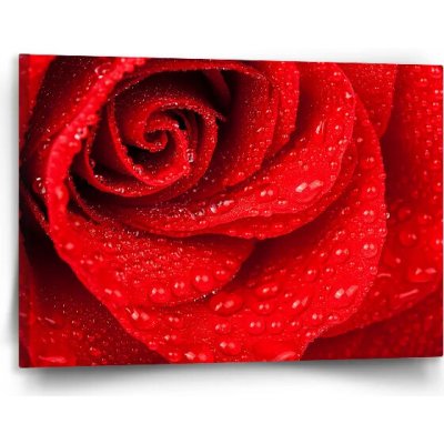 Sablio Obraz Květ růže - 120x80 cm – Hledejceny.cz