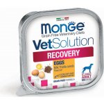 Monge Vet Dog Recovery imunita 150 g – Hledejceny.cz