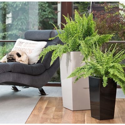 Lamela Květináč Finezja 250 x 250 mm krémový – Zboží Mobilmania