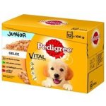 Pedigree Junior kuřecí a jehněčí & drůběží a hovězí s rýží v želé 12 x 100 g – Hledejceny.cz
