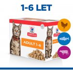 Hill's Science Plan cat adult kuře hovězí a ryba 12 x 85 g – Sleviste.cz