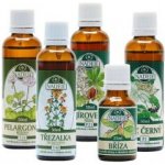 Naděje NK35 Kúra pro revitalizaci oběhového systému 225 ml – Hledejceny.cz