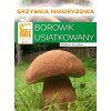 Osivo a semínko PLANTO Hřib dubový (Boletus reticulatus)- mykorhyzní mycelium PO-SM-HD