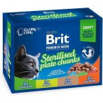 Brit Premium Cat Pouches Sterile Plate 12 x 100 g – Sleviste.cz