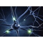 Pohlednice 3D Neuron – Sleviste.cz