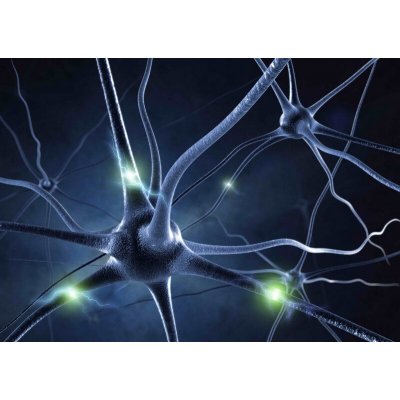Pohlednice 3D Neuron – Sleviste.cz