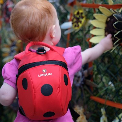 LittleLife batoh Animal Ladybird červený