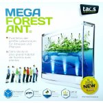 Globus Educational MEGA Forest Ant LED Antquarium gelové mraveniště – Zboží Mobilmania
