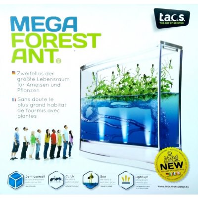 Globus Educational MEGA Forest Ant LED Antquarium gelové mraveniště – Zboží Mobilmania