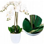 Pokojová rostlina ViviArt orchidej bílá 70 cm – Hledejceny.cz