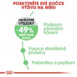 Royal Canin Digestive Care 10 kg – Hledejceny.cz