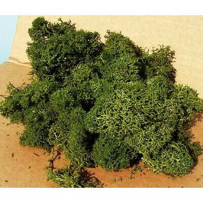 Heki Kittler Islandský mech středně zelený 30 g 3218 – Zboží Dáma