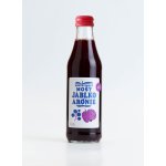 Moštárna Hostětín Hostětínský mošt jablko arónie bio 250 ml – Zboží Dáma