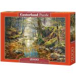 Castorland Podzimní les 200757 2000 dílků – Zboží Dáma