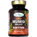 Dr. Popov Mumio Shilajit s rakytníkem 60 kapslí – Hledejceny.cz