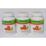MycoMedica Cordyceps 50% polysacharidů 3 x 90 kapslí – Hledejceny.cz