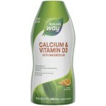 Natures Way Calcium & Vitamin D3 480 ml – Hledejceny.cz