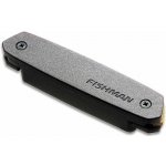 Fishman Neo-D SingleCoil – Zboží Dáma