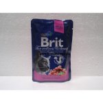 Brit Premium Cat Salmon & Trout 100 g – Sleviste.cz