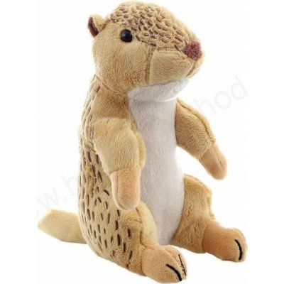 Sysel evropský 18 cm – Zboží Mobilmania