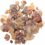 Nefertitis Kadidlo Omán Shazri NF20136 20 g – Hledejceny.cz