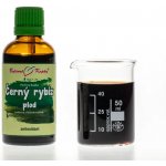 Bylinné kapky Černý rybíz plod kapky tinktura 50 ml – Hledejceny.cz