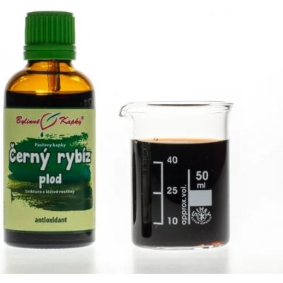 Bylinné kapky Černý rybíz plod kapky tinktura 50 ml – Hledejceny.cz