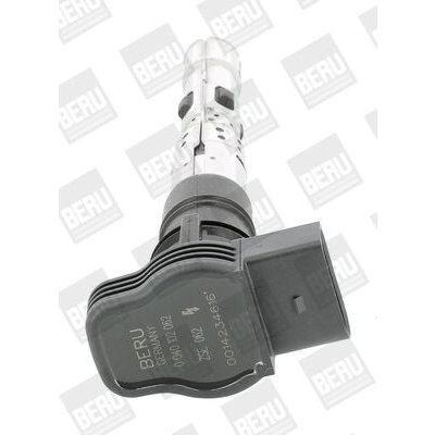 Zapalovací cívka BorgWarner (BERU) ZSE062 – Hledejceny.cz