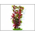 Hagen rostlina Red Ludwigia 30 cm – Hledejceny.cz