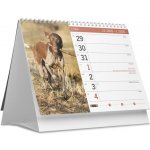 Vikpap stolní Psi a kočky 22 × 14,8 cm 2026 – Zboží Mobilmania