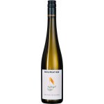Weingut Ludwig Neumayer Grüner Veltliner DAC "Schieferlage Inzersdorf" 2024 12,5% 0,75 l (holá láhev) – Hledejceny.cz