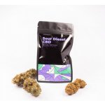 Cannapio Sour Diesel Indoor CBD Květy do 1% THC 100g – Zbozi.Blesk.cz