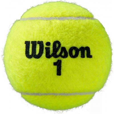 Wilson Roland Garros All Court 4 ks – Zboží Dáma