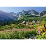 Cherry Pazzi Gąsienicowa dolina Vysoké Tatry 1000 dílků – Hledejceny.cz