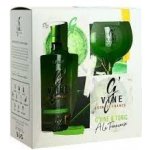 G’Vine Gin de France Floraison 40% 0,7 l (dárkové balení 1 sklenice) – Hledejceny.cz