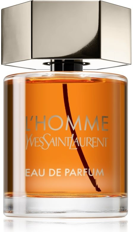 Yves Saint Laurent L´Homme parfémovaná voda pánská 100 ml od 2 019