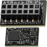 ASRock TPM-SPI – Zboží Mobilmania