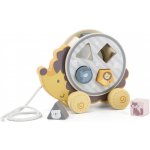 Viga dřevěná tahačka a vkládačka ježek – Hledejceny.cz