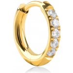 Troli Pozlacená kruhová single náušnice se zirkony VHLLE2008G – Zboží Mobilmania