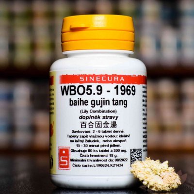 Sinecura WBO5.9-1969 baihe gujin tang 60 tablet – Hledejceny.cz